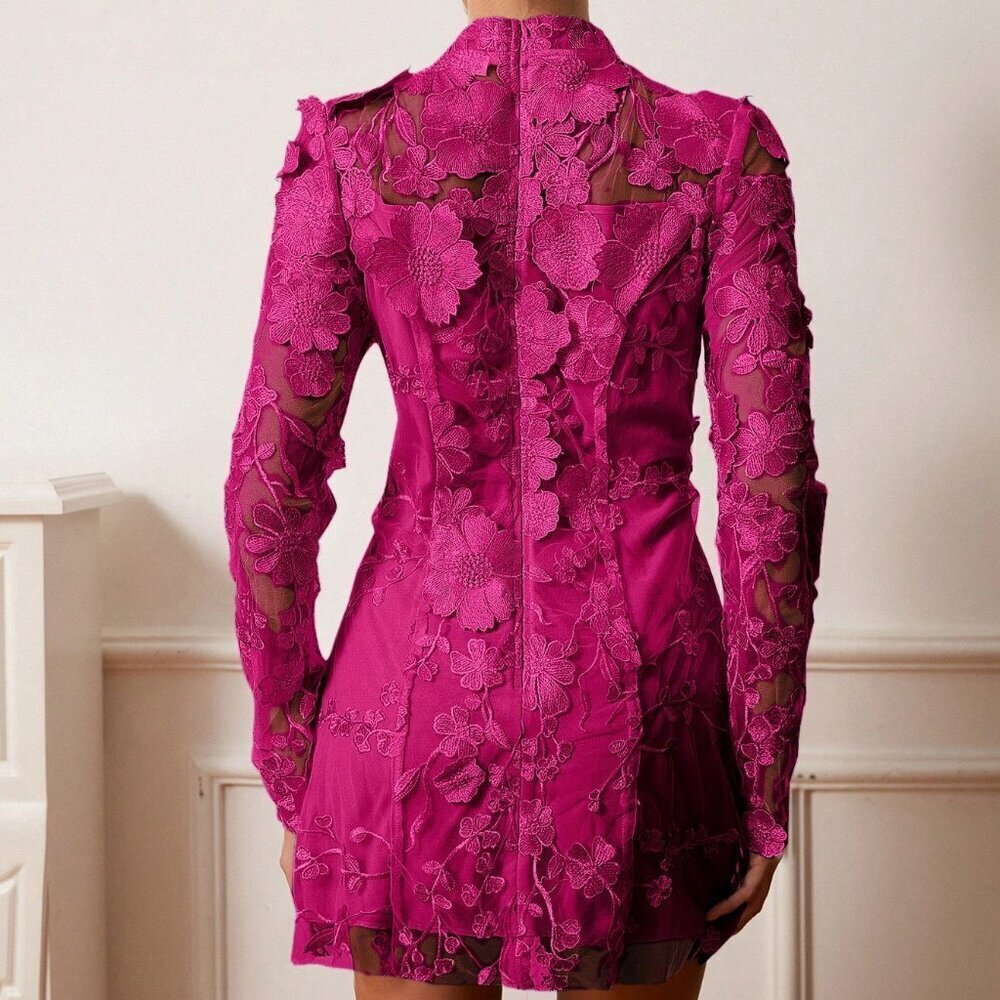 Hot Pink Elegant Women's Embroidery Floral Embroidered long sleeve Mesh dress - Picture 3 of 6
